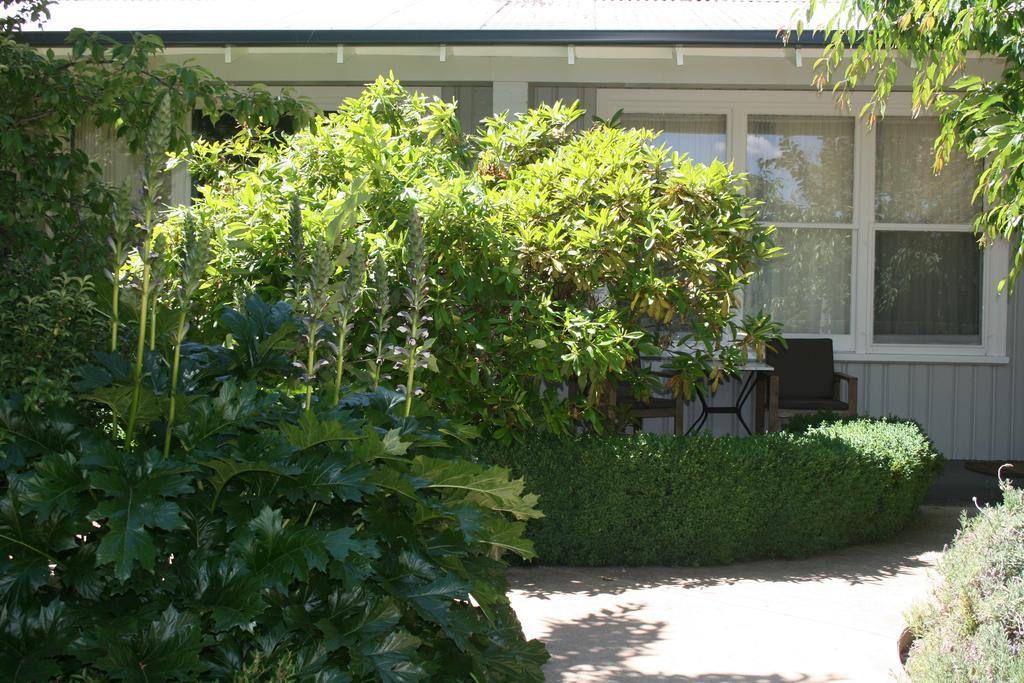 Elm Lodge Bright Buitenkant foto