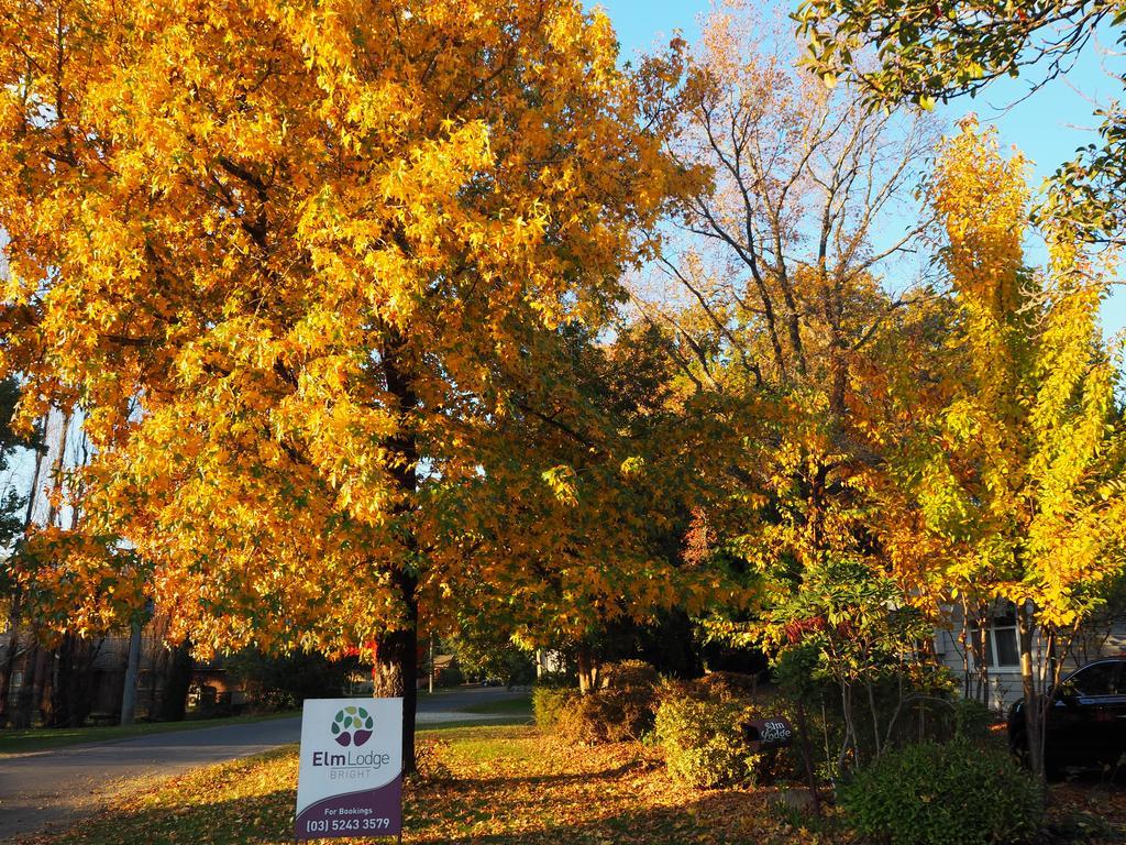 Elm Lodge Bright Buitenkant foto