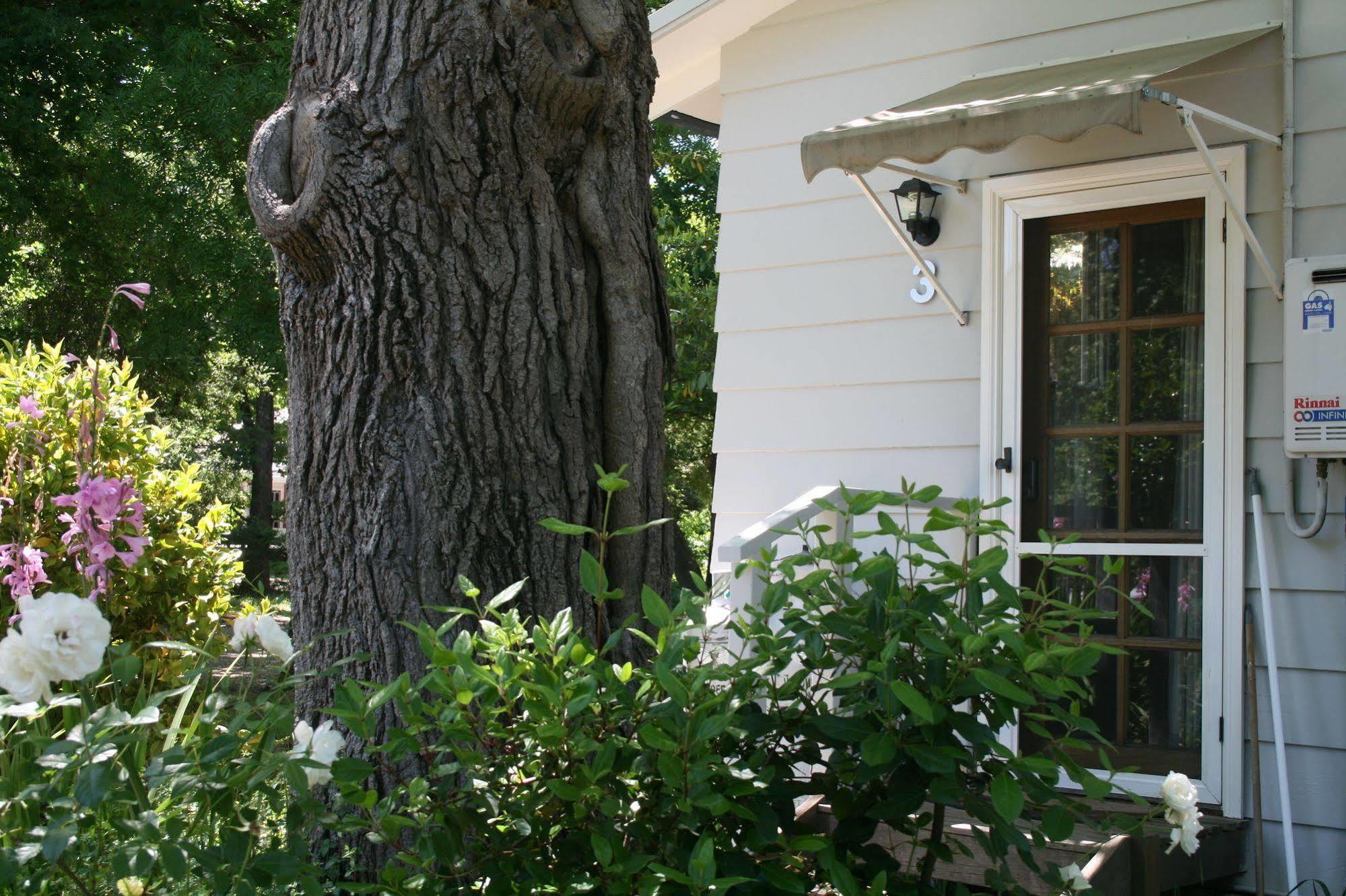 Elm Lodge Bright Buitenkant foto